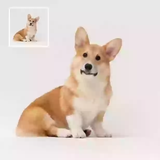 Générateur d‘images en vidéos - créez des vidéos de haute qualité à partir de photos