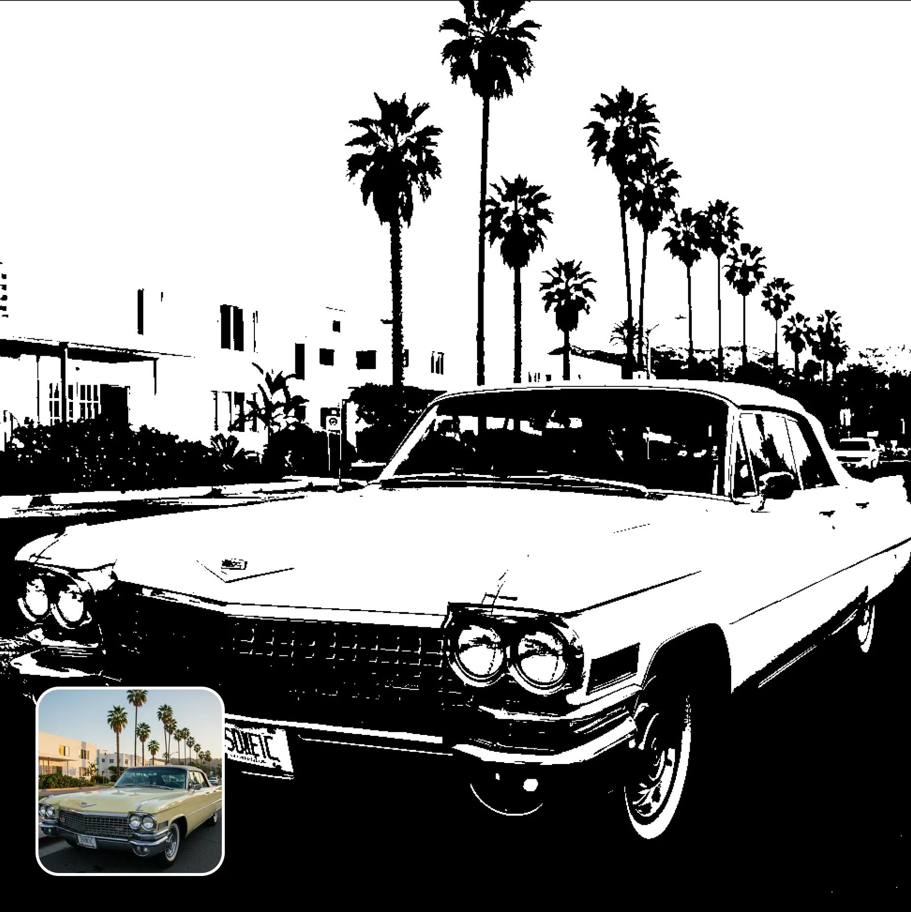 How to use black_white_image