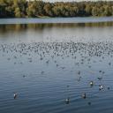 lake-photo template 2