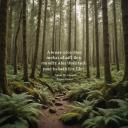 quotes-image template 3