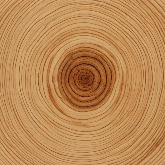 wood-board-texture template 3