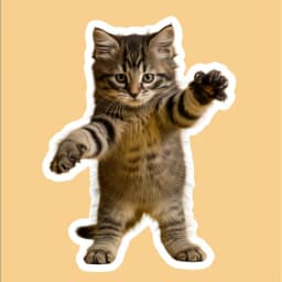 Aperçu de l'image placeholder