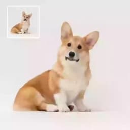 De l'image à la vidéo placeholder