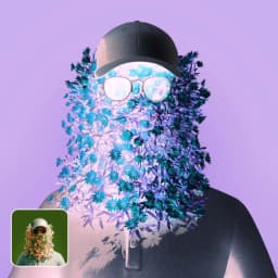 Inversion d'image placeholder